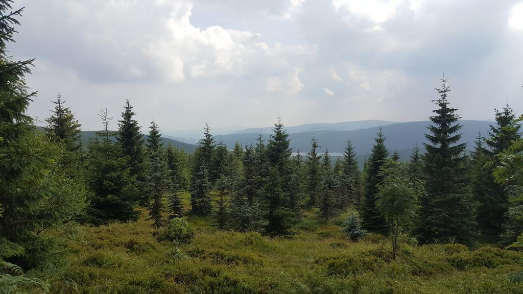 Pension Martinske Udoli Корженов Экстерьер фото